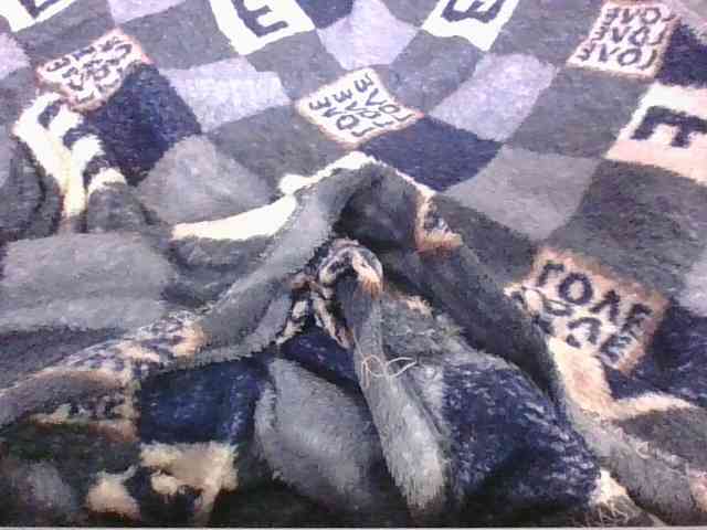 Lyah7a webcam