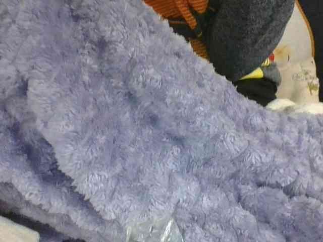 Lyah7a webcam