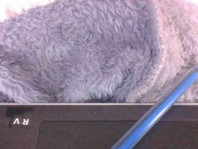 Lyah7a webcam