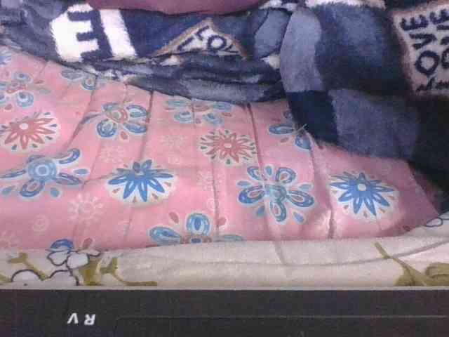 Lyah7a webcam