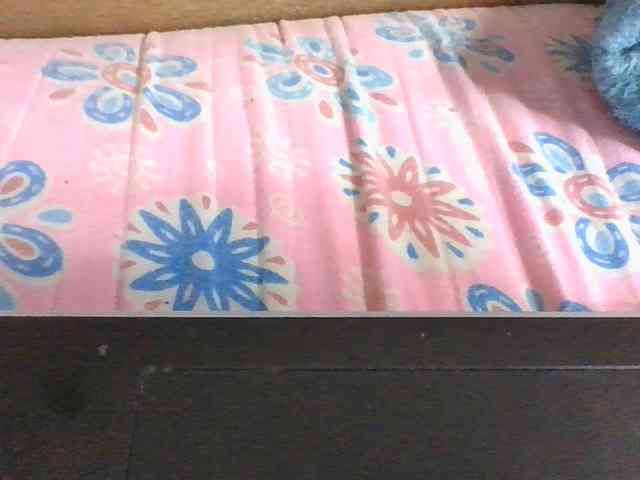 Lyah7a webcam