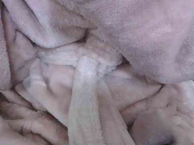 Lyah7a webcam