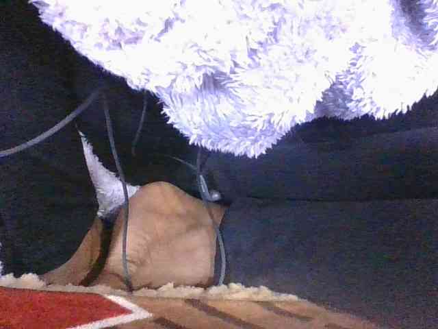 Lyah7a webcam