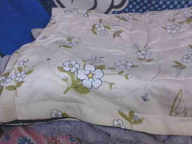 Lyah7a webcam