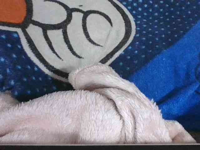 Lyah7a webcam