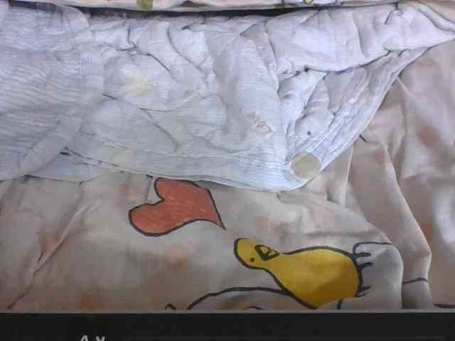 Lyah7a webcam