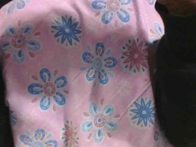 Lyah7a webcam