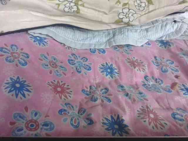 Lyah7a webcam