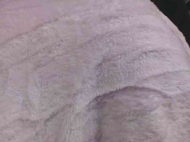 Lyah7a webcam