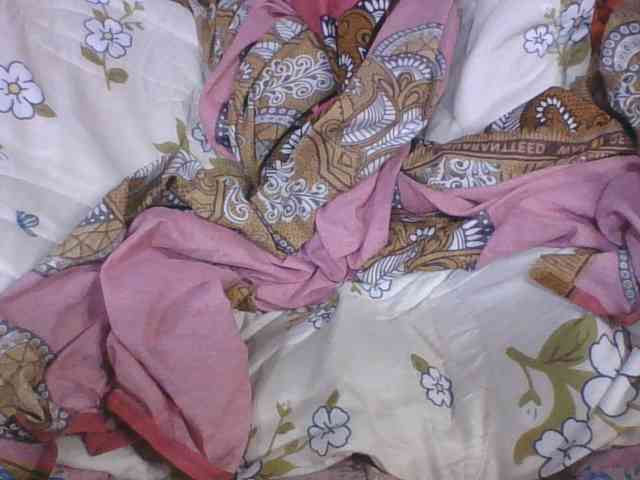 Lyah7a webcam