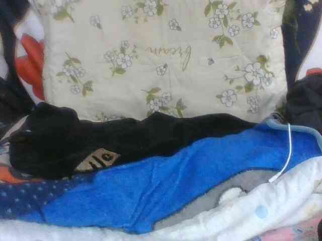Lyah7a webcam