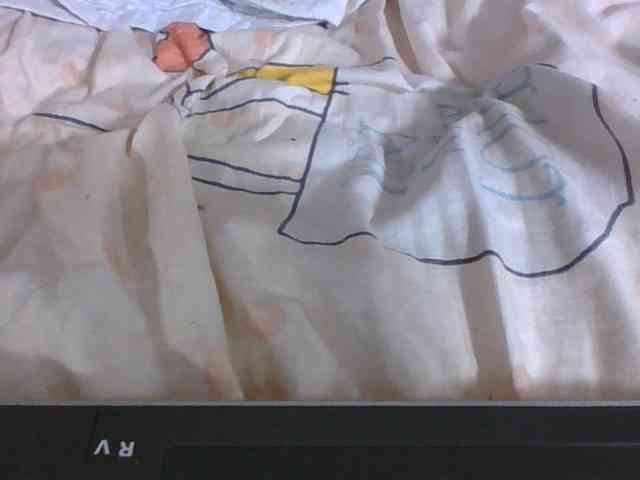 Lyah7a webcam