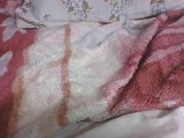 Lyah7a webcam