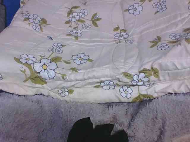 Lyah7a webcam