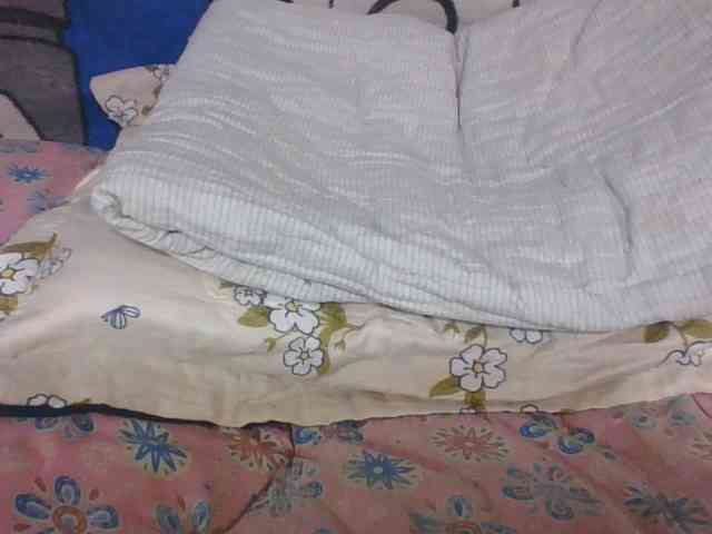 Lyah7a webcam