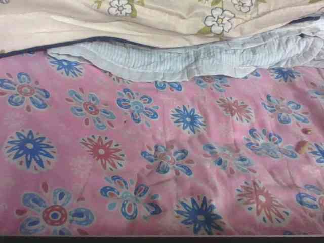 Lyah7a webcam