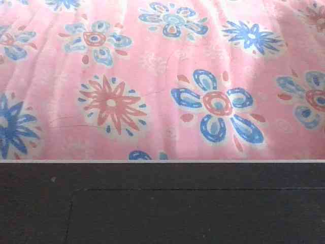 Lyah7a webcam
