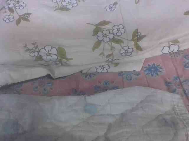 Lyah7a webcam