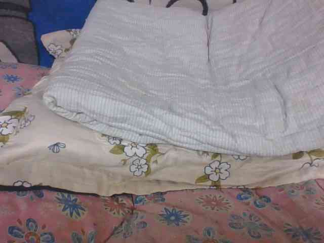 Lyah7a webcam