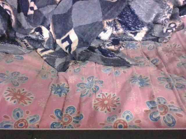 Lyah7a webcam