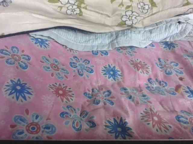 Lyah7a webcam