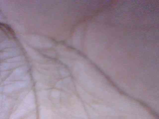 Lyah7a webcam