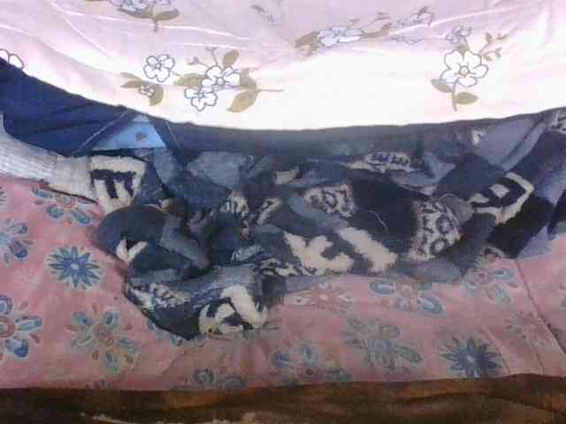 Lyah7a webcam