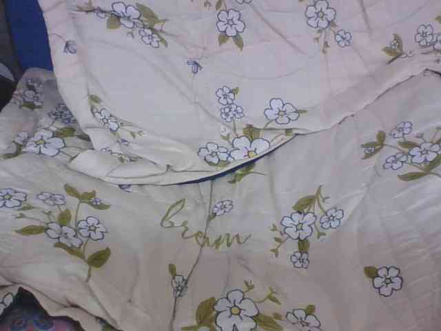 Lyah7a webcam