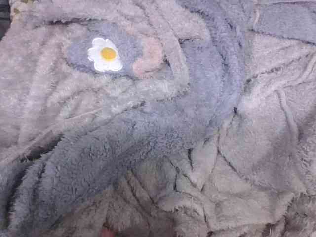 Lyah7a webcam
