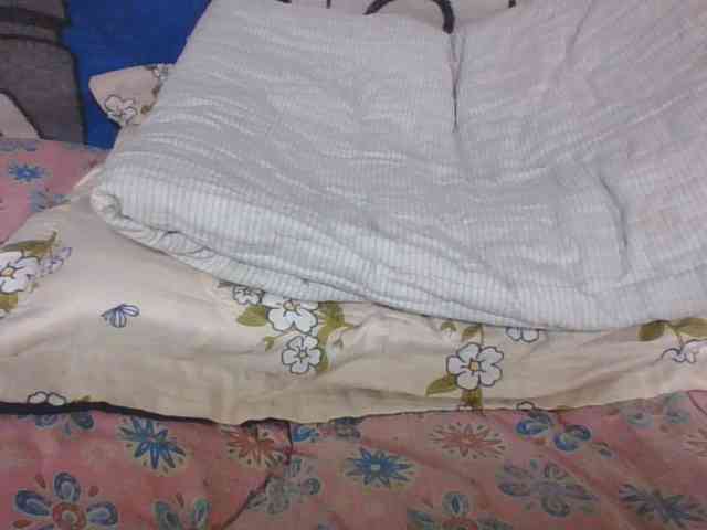 Lyah7a webcam