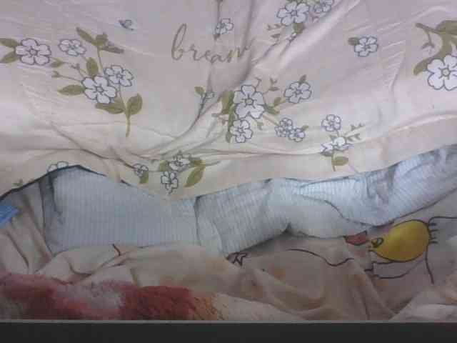 Lyah7a webcam