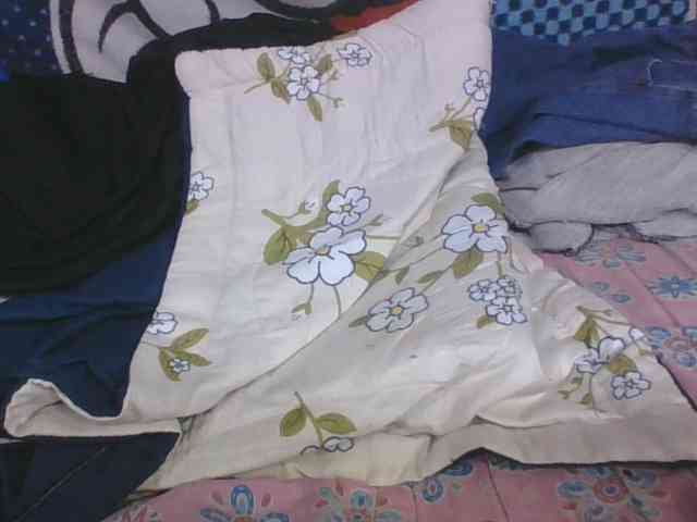 Lyah7a webcam