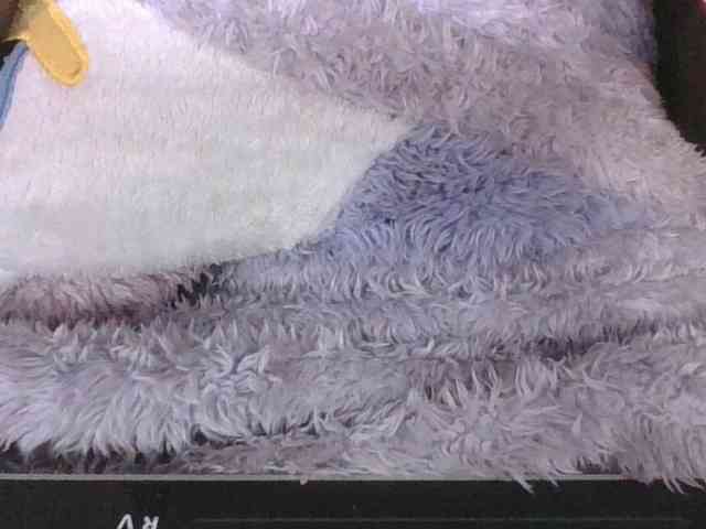 Lyah7a webcam