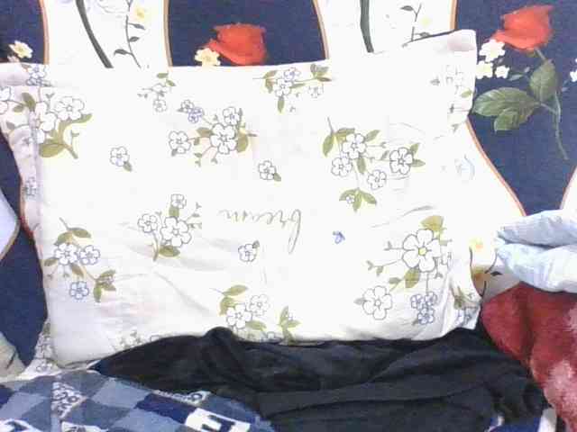 Lyah7a webcam