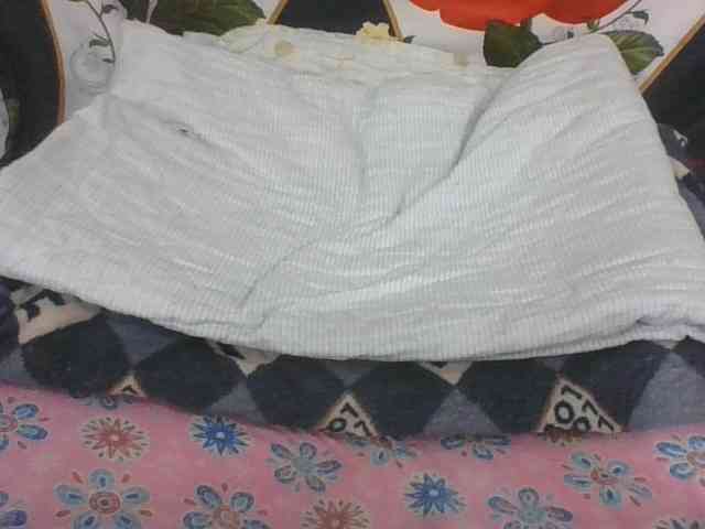 Lyah7a webcam