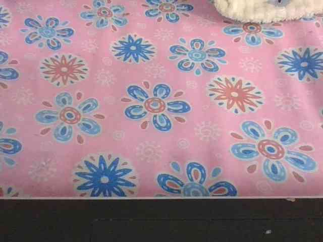 Lyah7a webcam