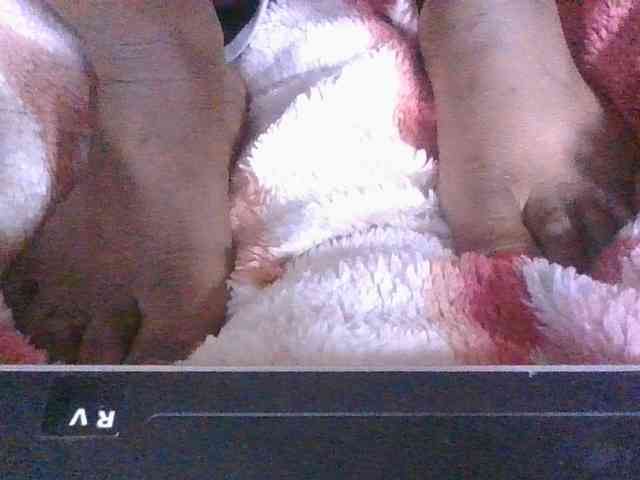 Lyah7a webcam