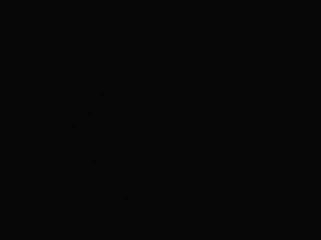 kosann webcam
