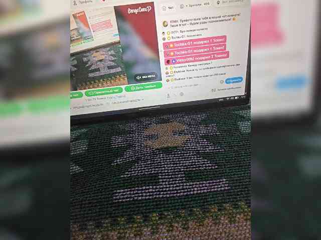 kosann webcam