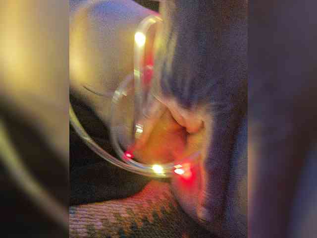 kosann webcam