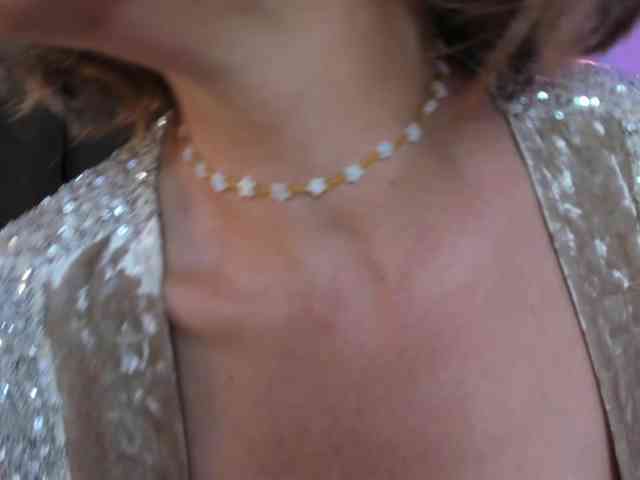 Daliascoth webcam