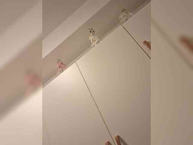 carolina97 webcam
