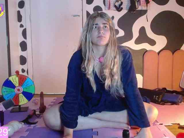 hi-elora webcam