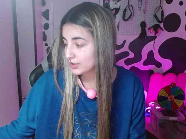 hi-elora webcam