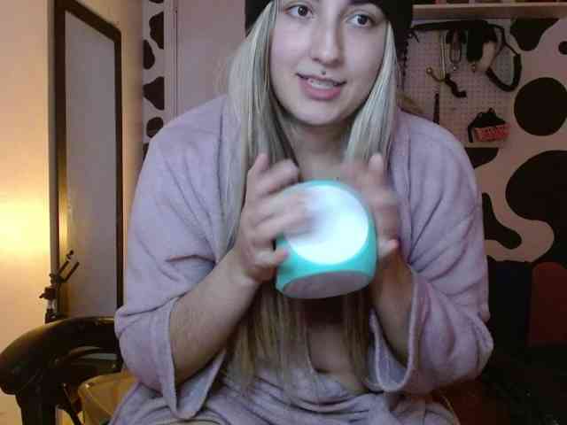 hi-elora webcam