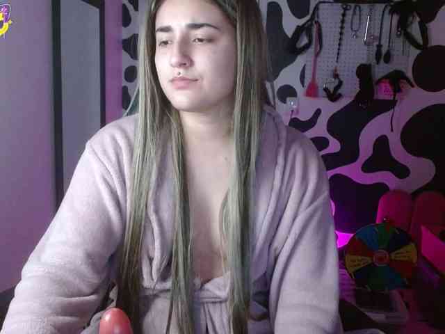 hi-elora webcam