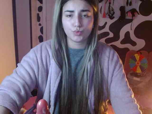 hi-elora webcam