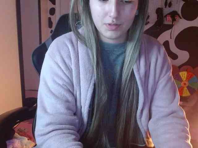hi-elora webcam
