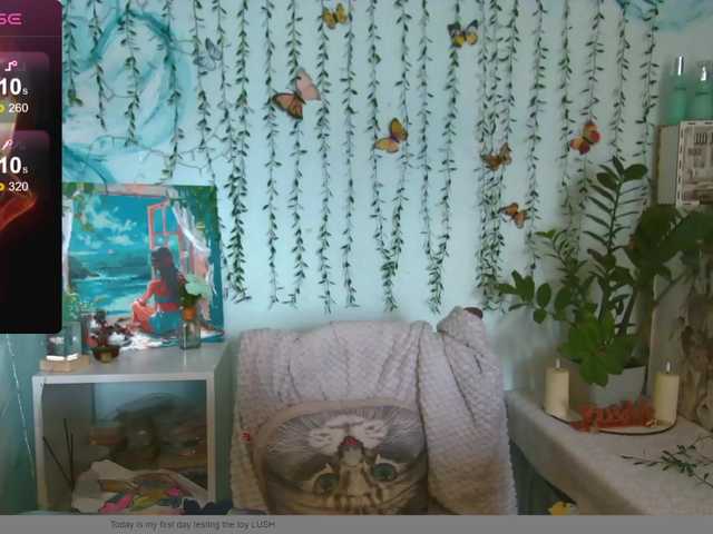 HarleyWid live cam on BongaCams