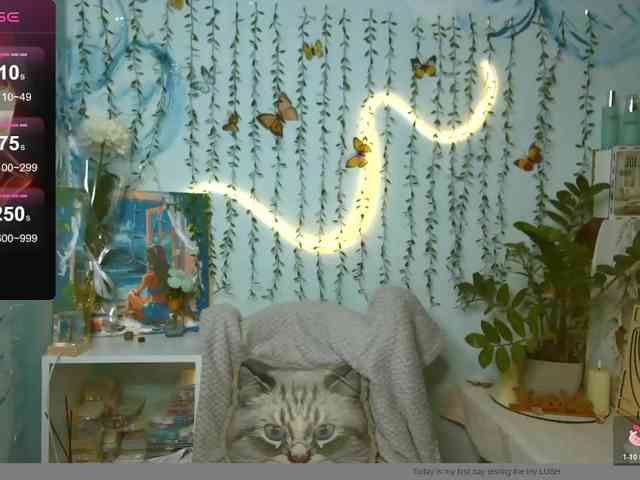 HarleyWid webcam